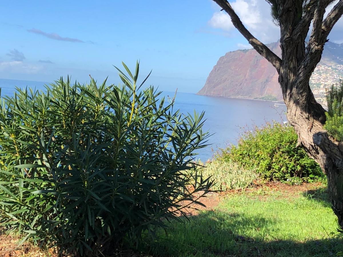 Ocean Dream Apartment- Air Condition Funchal  Luaran gambar