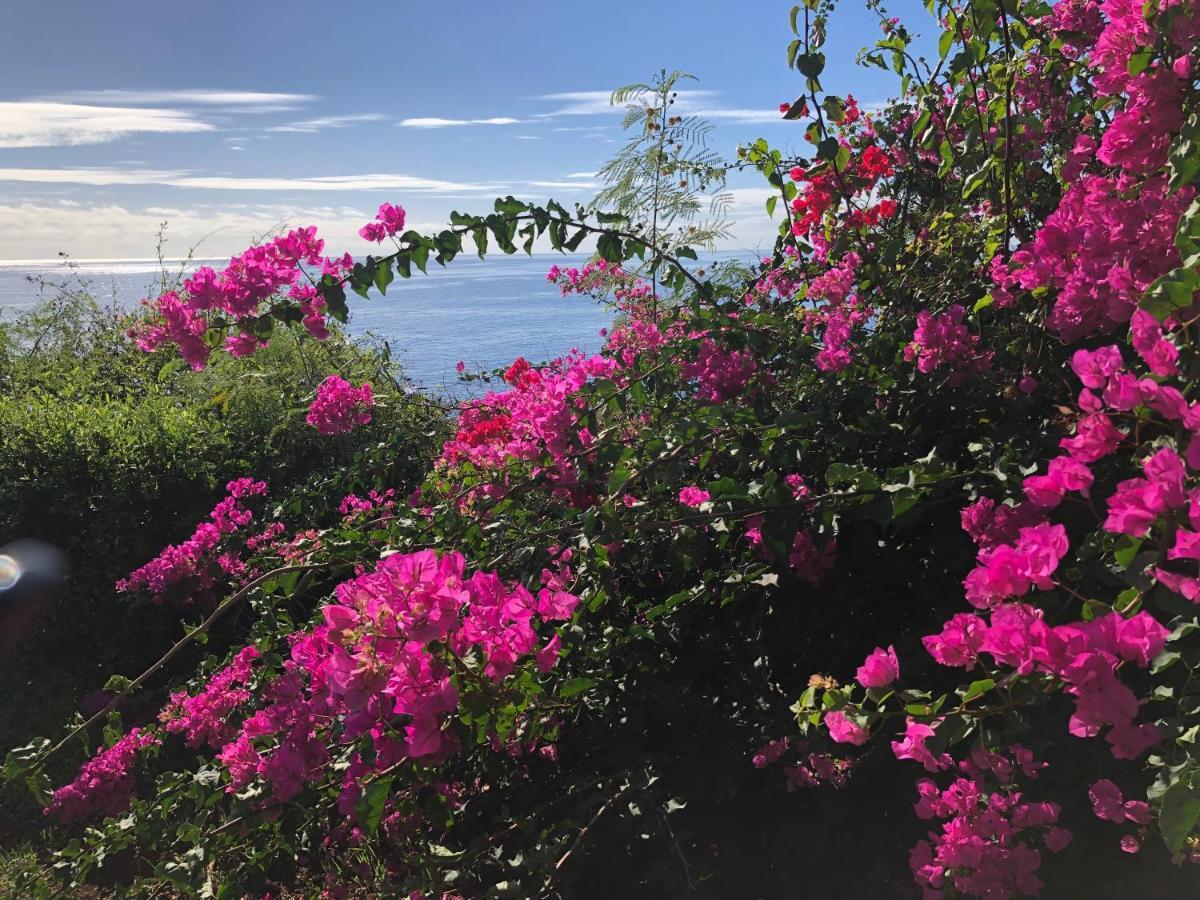 Ocean Dream Apartment- Air Condition Funchal  Luaran gambar